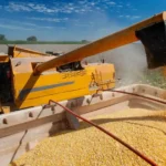 us corn harvest 2025