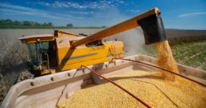 us corn harvest 2025
