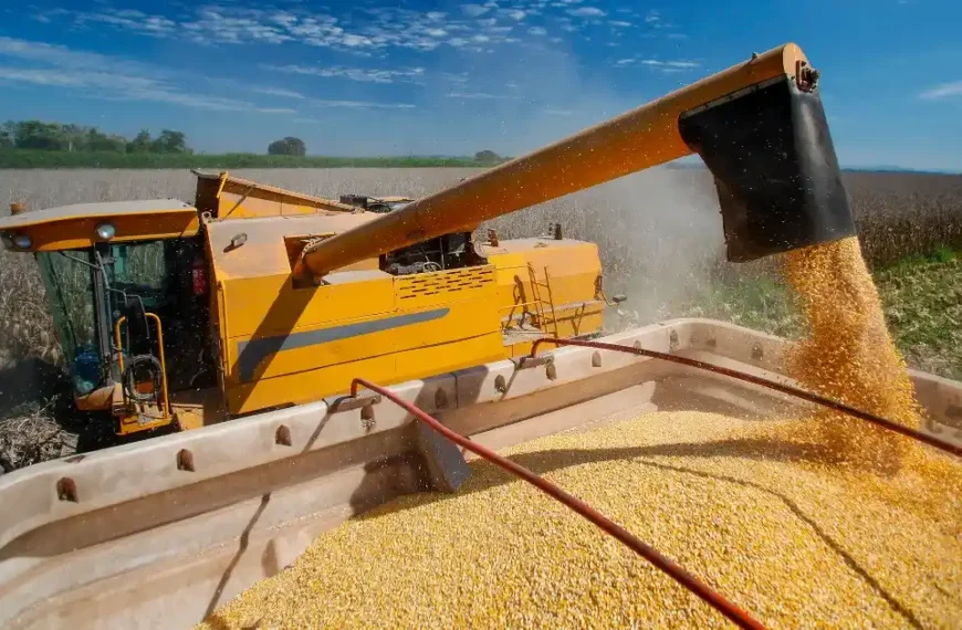us corn harvest 2025